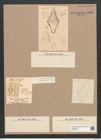 Omphalopsis australis Grev. (de-Toni-Nr.: Genus 82, Species 2897) Zeichnungen Sammlung Grunow Nr. 5885 (NHMW-BOT-W0374337)